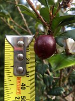IMG_1994.JPG