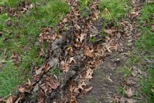 DSC00109.jpg