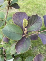 IMG_7886.jpeg IMG_7886.jpeg