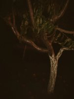 IMG_20211004_235445.jpg