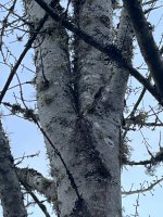 IMG_0814.JPG