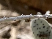 F8282474-CBC6-4948-A476-C52A4AB8AF28.jpeg
