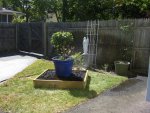 raised bed 002.JPG