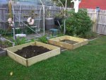 raised beds 001.JPG