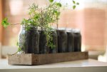 Container-Garden-Blog-11.jpg