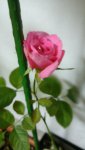 20151028_174223.jpg