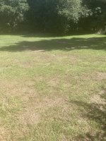 64B99727-2551-4A18-AE57-3477AFDEAD0C.jpeg