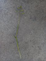 20220625_094220.jpg