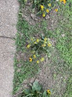 11335933-5F95-4359-A9ED-E19CBC17AC7E.jpeg