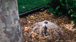 tree sprinkler.png