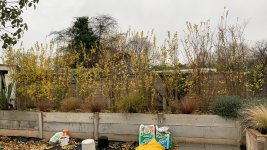 B97D378C-18DB-43F9-AF86-D57233B617D7.jpeg