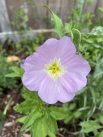IMG_8220.jpeg