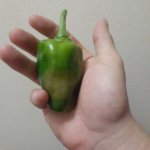pepper `.jpg