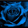 BlueRose