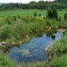 jardinier