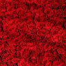 KingsRose
