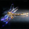 PrismDragonfly