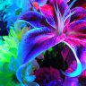 wild about plants