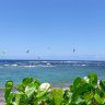Hawaii Life