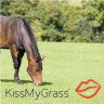 KissMyGrass