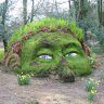 NerdOfTheJungle