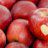 Applelover