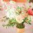 Tina_z