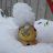 Dave_c