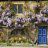 wisteria cottage
