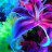 wild about plants