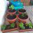 want2grow