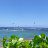 Hawaii Life