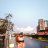 Kozu_yin