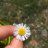 GardenGirlStuff