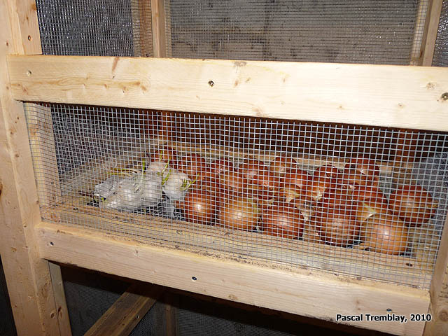 onion-bins-food-storage.jpg