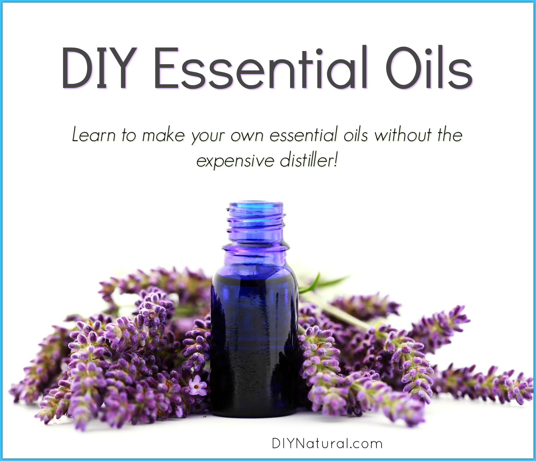 www.diynatural.com