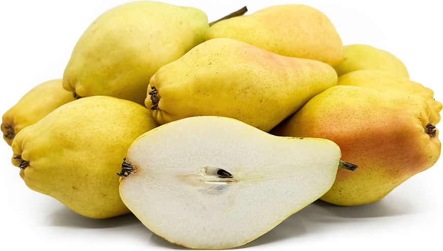 specialtyproduce.com