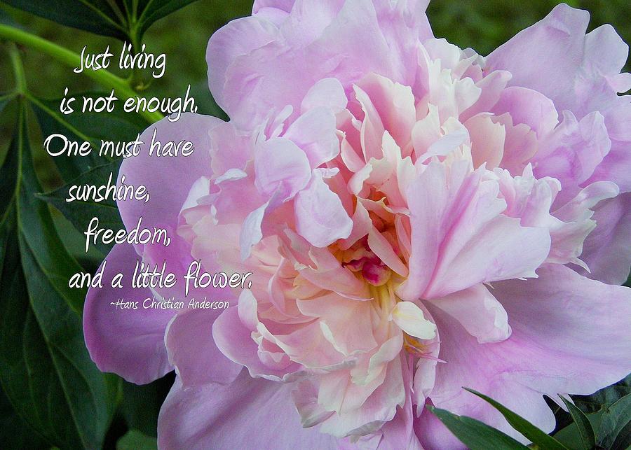 melissas-flower-quote-jamart-photography.jpg