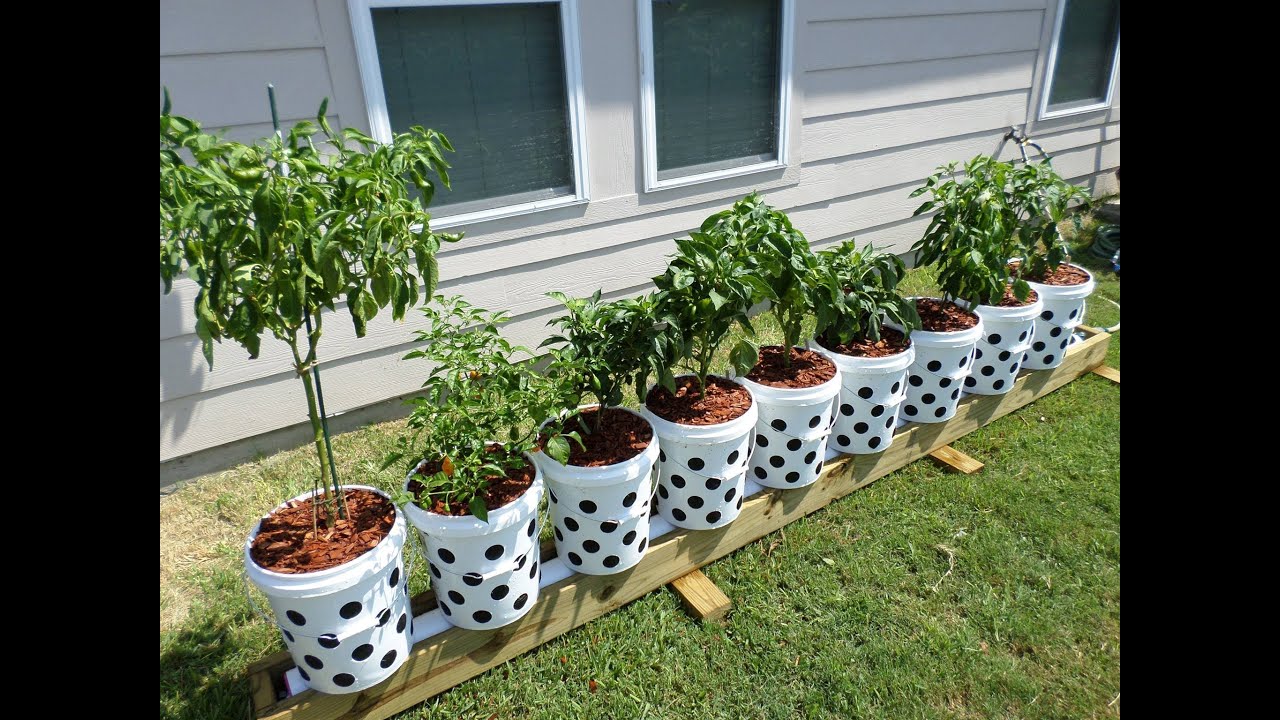 Recycled Bucket Gardening Container Gardening For Apartment