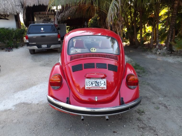 bug1014_zpsfc81004c.jpg