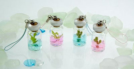 tokyo-micro-garden.jpg