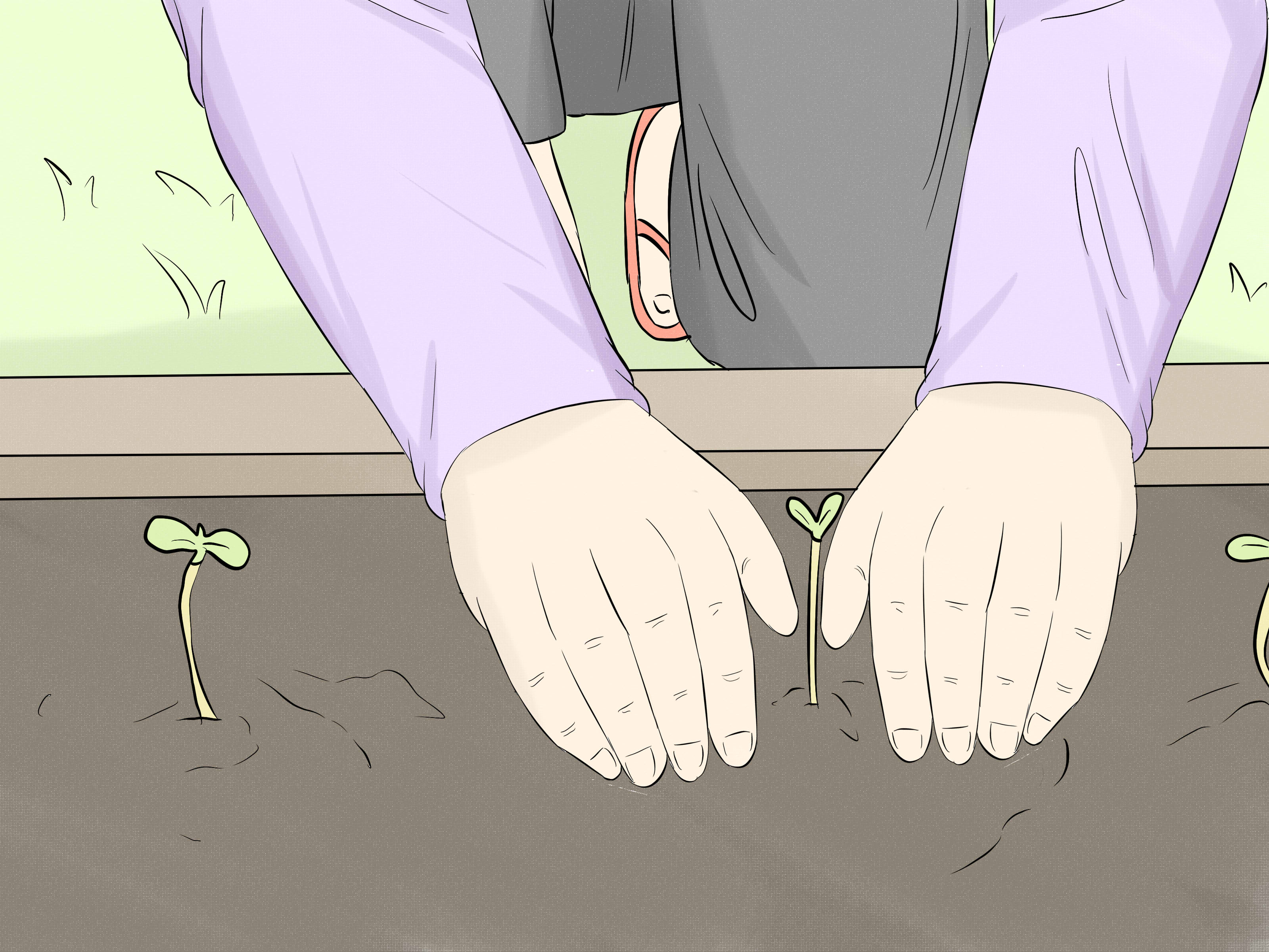 www.wikihow.com