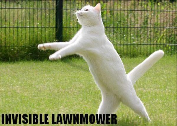 Invisible-mower.jpg