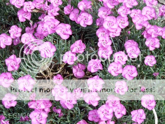 June%20misc%202015%20005.jpg