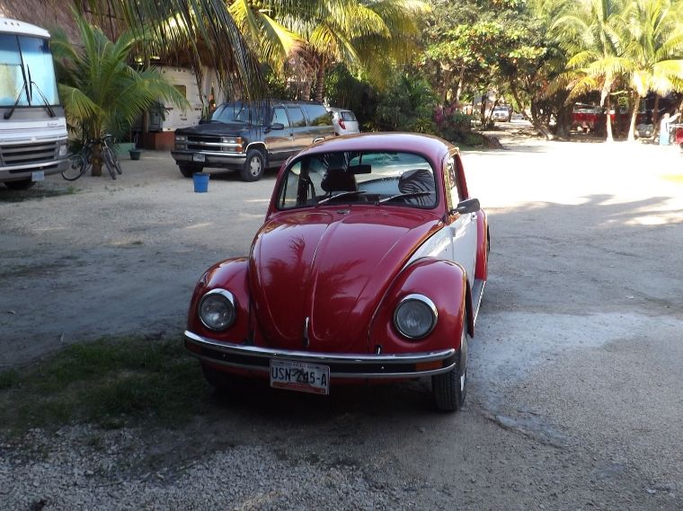 bug1012_zps08261d2f.jpg