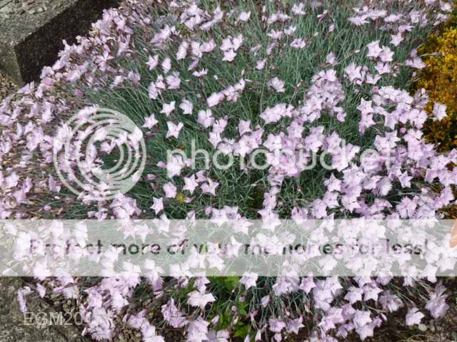 June%20misc%202015%20001.jpg
