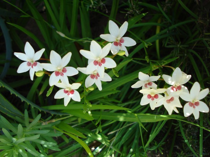 081c6f.jpg