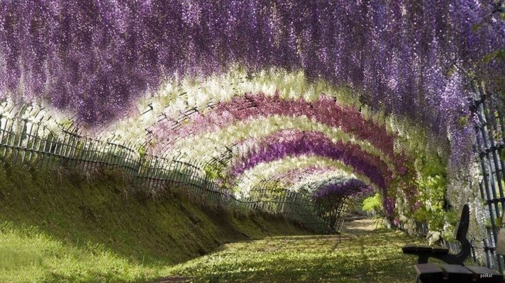 TUNNEL-COP.jpg