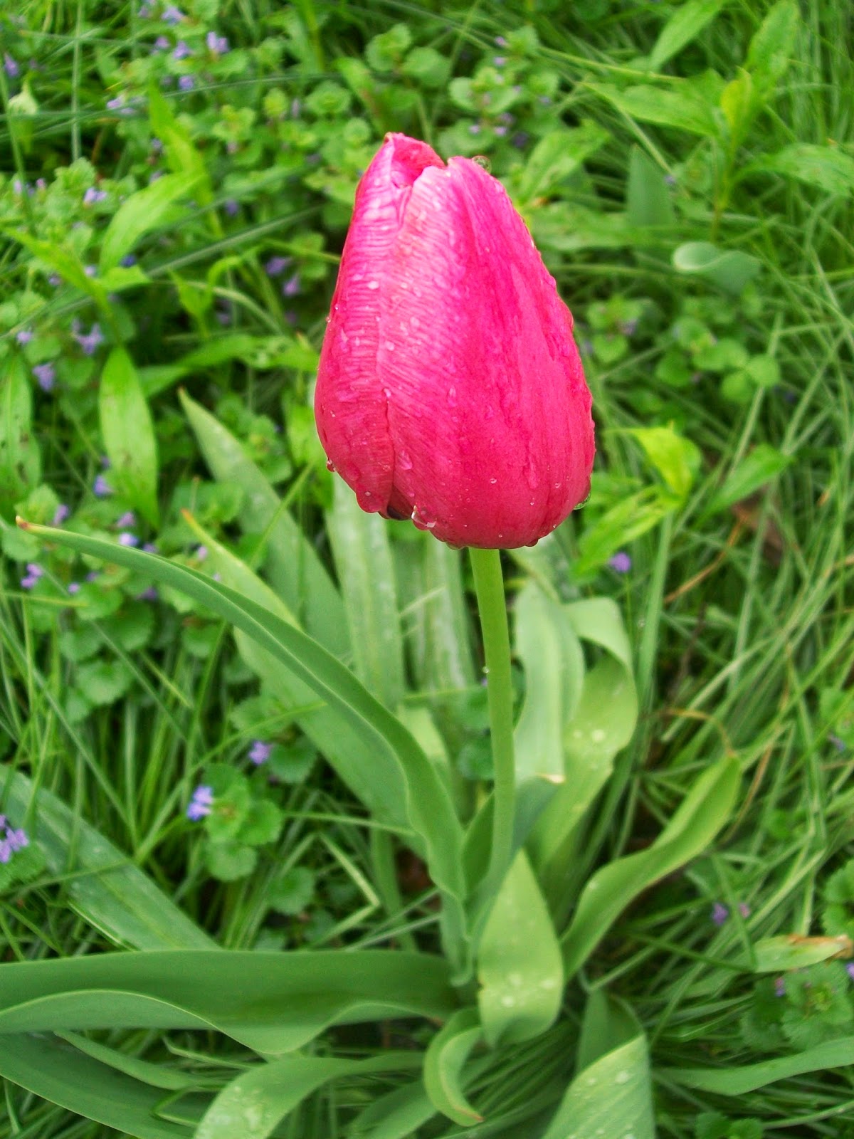 100_5520.JPG
