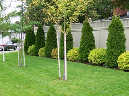 beautiful%20shrubs%20plotting.jpg